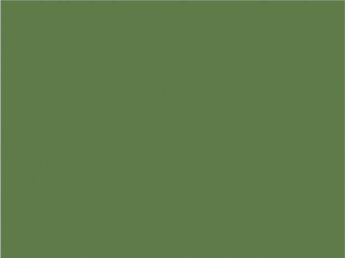 Immagine Verde_Canna_RAL_6013.jpg