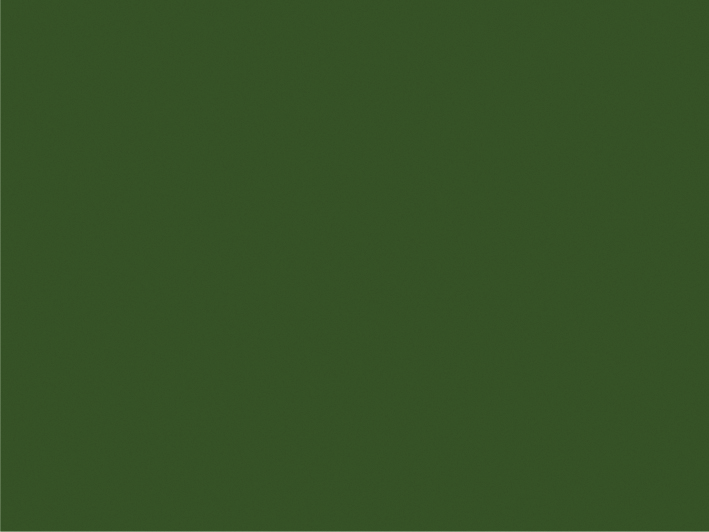 Immagine Verde_Oliva_RAL_6003.jpg